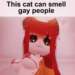 VRChat Parodies