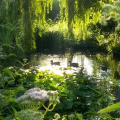 Suit Upp (prod. phillip guillaume)