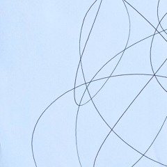 Ele Caminha.Ele Pausa.Ele Corre