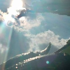 2trouble in paradise