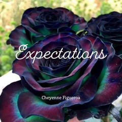 Expectations (Snippet)