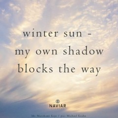 Shadow Blocks [NaviarHaiku524]