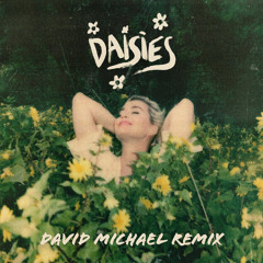 Katy Perry - Daisies (David Michael Remix)