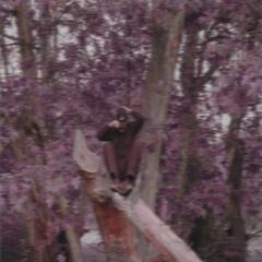 Only Want the Moolah - Cinco