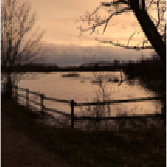 Field