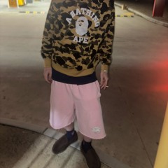 computer + bradily (13.flp)