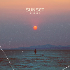Eisbaer - Sunset