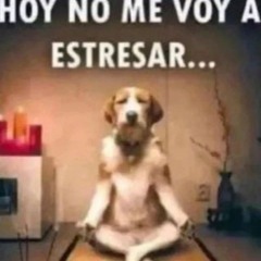 hola amigos