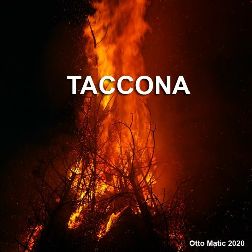 Taccona