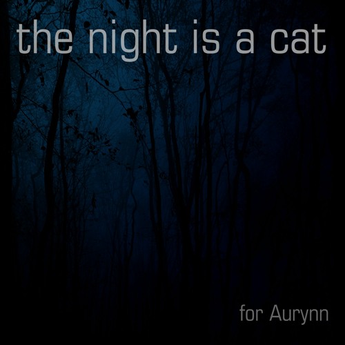 The Night Is A Cat