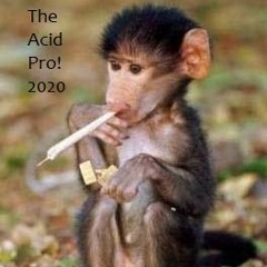RobertoMonti - TheAcidPro2020