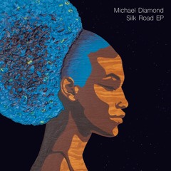 PREMIÈRE: Michael Diamond feat. Alex Wilson – Adrift Penitent Moors