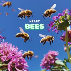 HeartBees