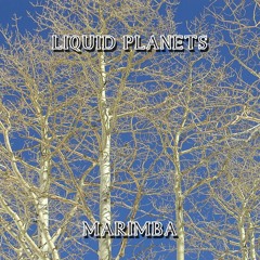 LIQUID PLANETS - MARIMBA ( released )