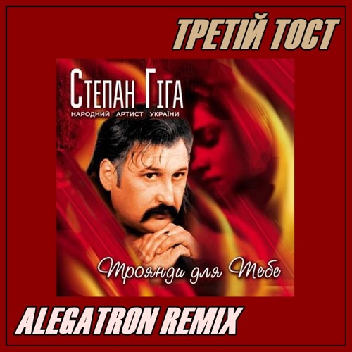 Степан Гіга - Третій тост (ALEGATRON Remix)