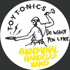 Phenomenal Handclap Band - Do What You Like