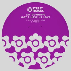 Jay Gunning - Got 2 Have Ur Love [clip]