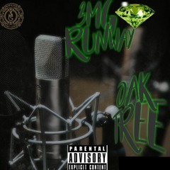 3MG RunWay - Oak Tree(2).mp3
