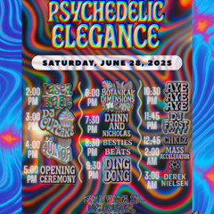 Psychedelic Elegance 2025 - DJ Cupcake