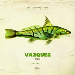 Vazquez @ Newcomer #046 - Brazil