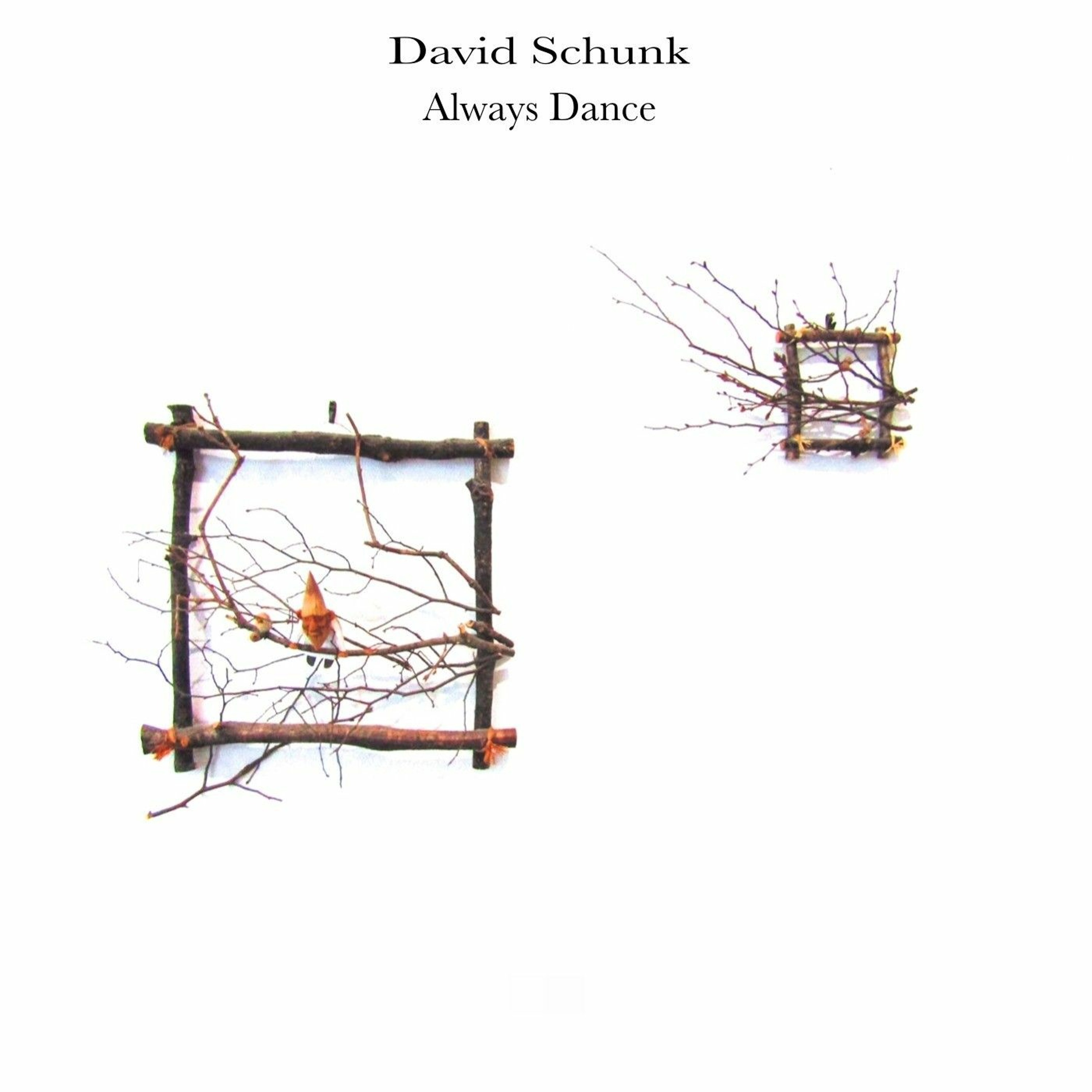 Dj David Schunk