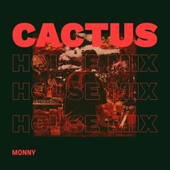 Cactus Tech House Mix