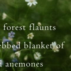 Flaunting Forest_Naviarhaiku490