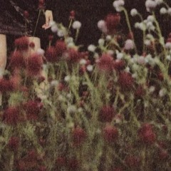 SUN & MOON: انا بحبك