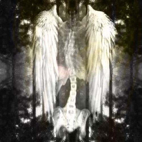 symphony (p. greyrock akkiru1)
