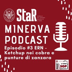 Minerva Podcast #3 - Ketchup nei cobra e punture di zanzara