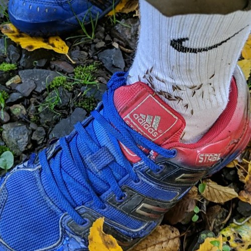 Subhumans - Society Demolition War EP