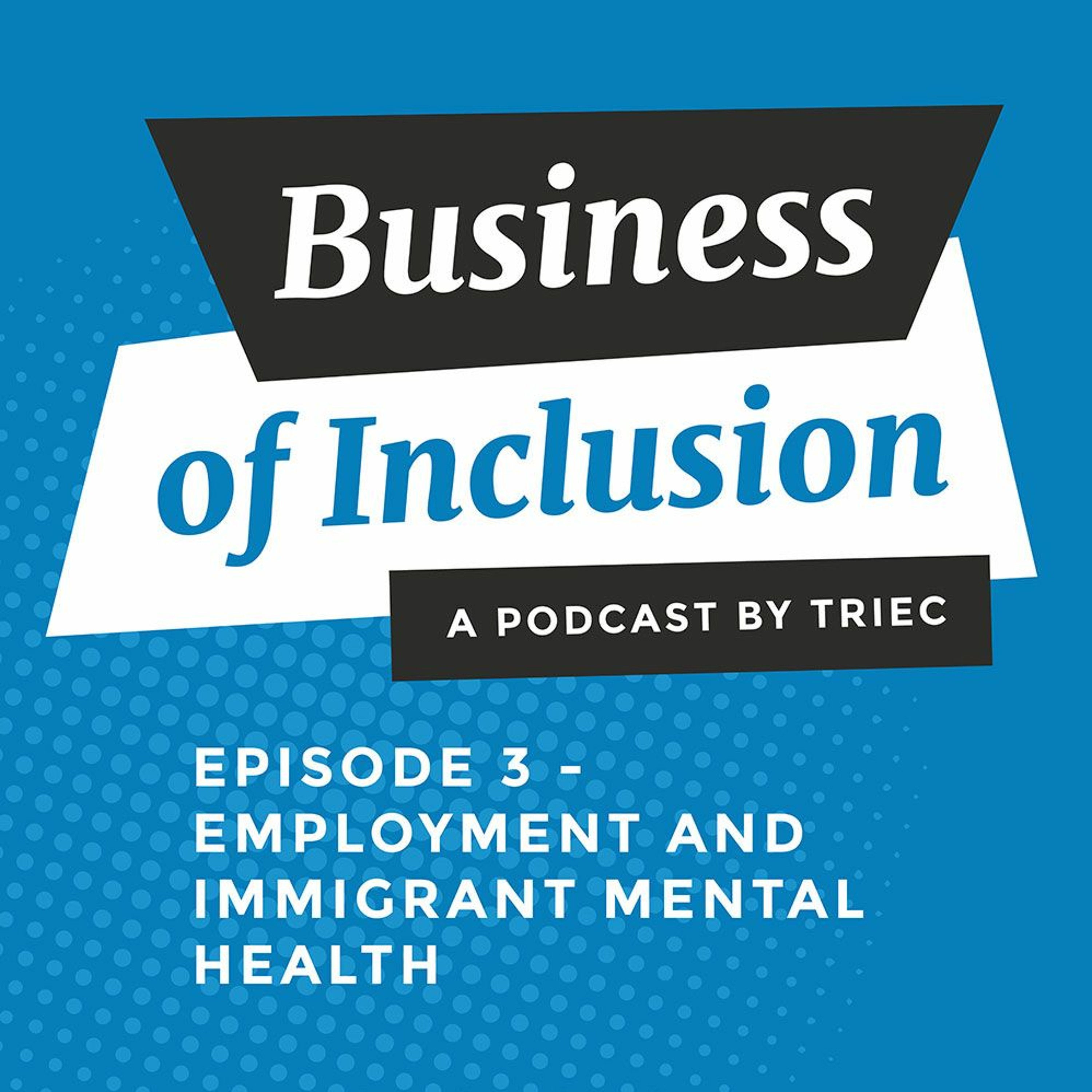 Business of Inclusion Podcast