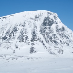Fjällripa / Rock ptarmigan, wind and snow drift