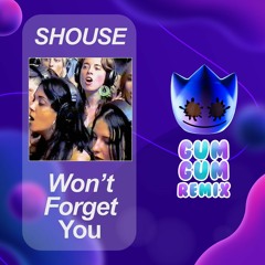 Shouse - Won't Forget You (Gum Gum Remix)