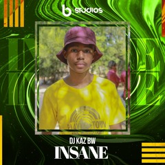 Dj Kaz Bw - Insane (Original Mix)