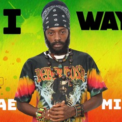 I Wayne Reggae Culture And Lovers Mix By Djeasy