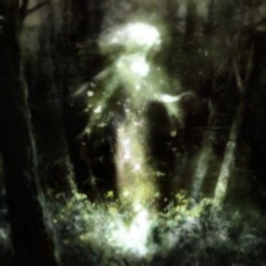 ida