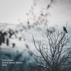 Dark Winter
