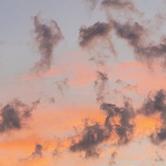 Lowkey Ft. Phoenix803 (prod.Versus)