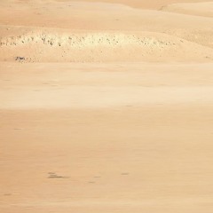 Vast Lands