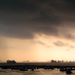 Coast Walk, March 2025