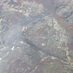 Undercurrent