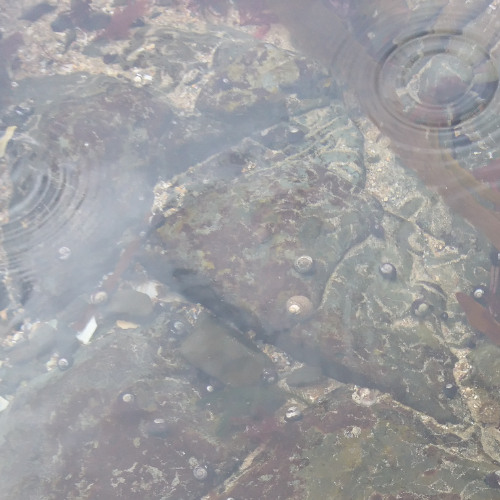 Undercurrent