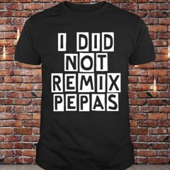Farruko's - Pepas BENR COVER (Pussylounge Edit)
