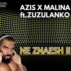 AZIS X MALINA ft. ZUZULANKO - NE ZNAESH II (RETRO 2022)