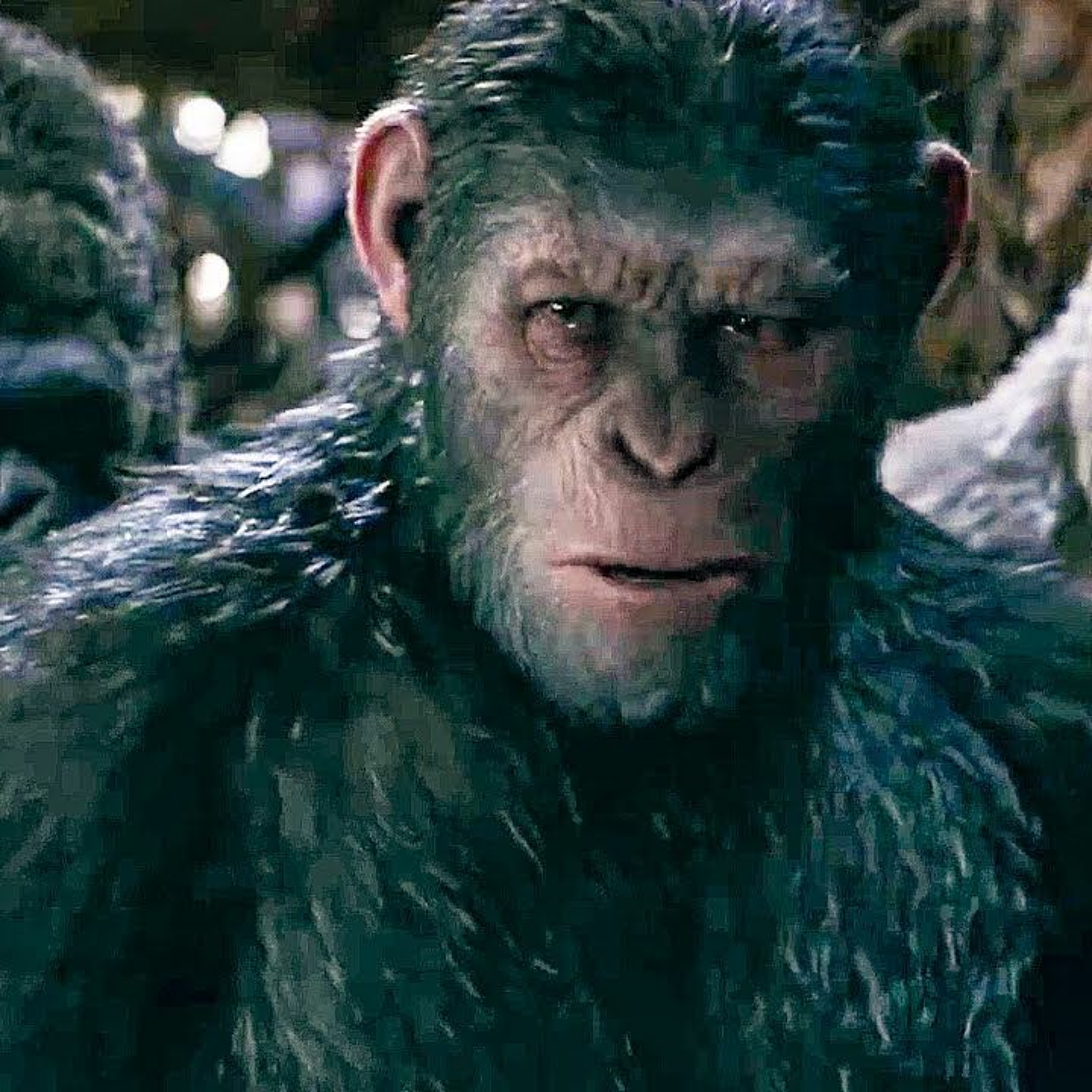 WAR FOR THE PLANET OF THE APES