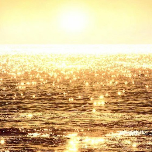 Sunset (with. Lou J, hongobi)