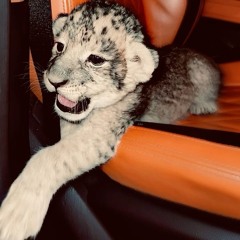 IT'S TIME TO DANCE🍒