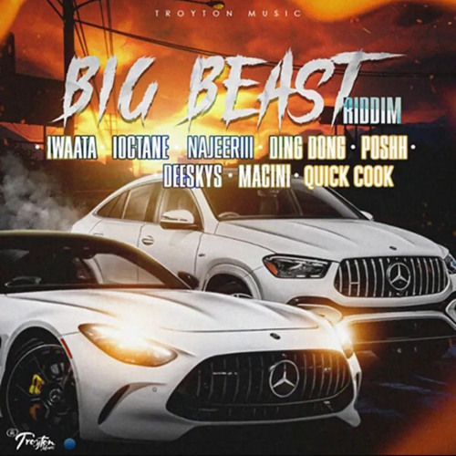 BIG BEAST RIDDIM MIXED BY DJ AGROE