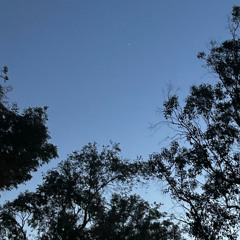 In the dark (venturing cover)